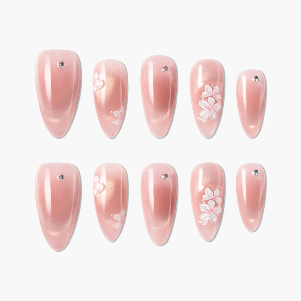 Cherry Blossom Glow